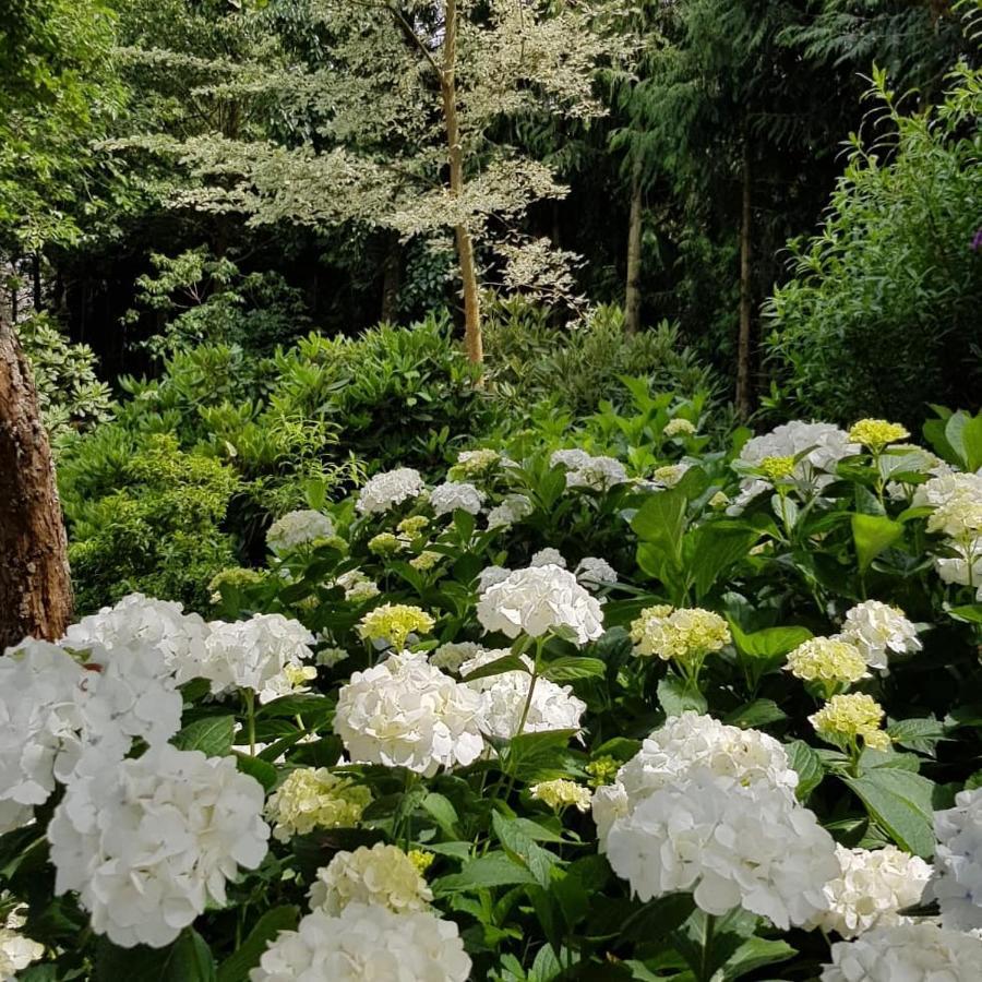 Ribblesdale Gardens Barn Βίλα Oxford Εξωτερικό φωτογραφία